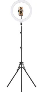 Webilla 12 Ring Light With Tripod Stand and Cell Phone Holder, Dimmable Led Circle Light