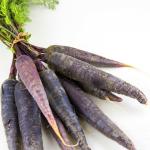 MOZETTE Black Carrot Seed (30 per packet)