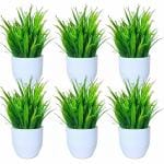 Flora Planet Artificial Plants for Home Decor & Office Decoration 6 Mini Size Green Plant with Pot for Home Decorative Items Brighten Up Any Space with These Fake Plants