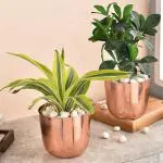 Elemntl Rose Gold Metal Table Top Planter (Pack Of 2)