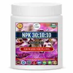 Erwon NPK 30:10:10, Premium Fertilizer, 100% pure Powerful Fertilizer for Overall Growth of Plants (900 gm)