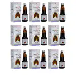 DEE INDIA HERBALS 100% Natural Ayurvedic Lungs Care Syrup - A Perfect Tonic For Lungs, Gives energy to lungs (225ml Each, Pack of 9)