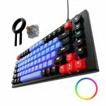 Kreo Hive Anti-ghosting Gaming Keyboard | 75% Tenkeyless Wired Mechanical Keyboard with White LED Backlight Brown Switch & 3 Colour Key Caps | Detachable USB C Cable PB (RGB Backlight, Brown Switch)