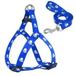 Hundur Store 15 mm Paw Print Leash and Harness Set for Small & Medium Puppy