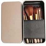 AVTY Makeup Brushes Kit with A Silver Storage Box - Set of 12 (Pack of 12)