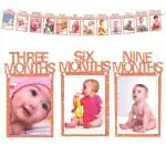 AMFIN Babies Photo Banner Frame (12 Months, Rose Gold)
