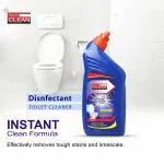 Regular Clean Disinfectant Toilet Cleaner Removes Toughest Stains Safe for All Toilet Types Long-Lasting Protection Easy to Use Ideal for Home and Office Keeps Toilets Hygienic and Sparkling 500ML