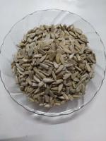 Tamransh Ambestore Sunflower Seeds, 100 Seeds