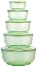 G-KARUNA Storage Container Set for Kitchen, Freezer Safe, Set of 5 (Multicolor)