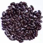 Green India Custard apple seeds-Sitaphal seeds (Annona squamosa)_10 gm