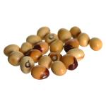 Kesar Zems White Wood Chirmi Beads Goonja Gurivinta Seeds (Pack Of 101)