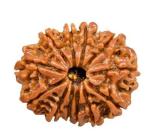 Feel Touch Mart 13 Mukhi Pure & Original Nepal Bead Rudraksha Silver Pendant by Lab Certified 23mm Rudraksha Bead Thirteen Mukhi Rudraksha