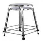 Lifetime Stools Stainless Steel Stool for Sitting (Pack of 2, 21 Inches)