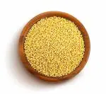 Aplenty Foxtail Millet Natural Grains | Kangni Seeds | High Protien | Kaon/Kang/Kakum/Navani/korralu/Korra/Thinai (900g)