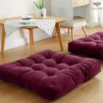 Carry Bird Floor Pillows Chair Cushions Office Outdoor Pillow for Yoga Square Cushion (Pack of 1) 18*18 Inch Burg Color