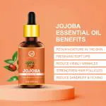Nuerma Science Jojoba Essential Oil (100% Pure & Natural For Hair Growth ) Hair Oil (15 ml)