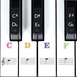 DOMENICO Electronic Piano Keyboard Sticker Multicolor