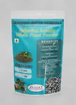 Sidhara Betta Herbals Spilanthes Acmella Whole Plant Powder