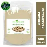 Shudh Online Putrajeevak Beej powder (500 g), Putrajivak Seed, Putrijivak, Putr Jivak