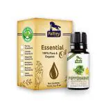 Palfrey Natural Peppermint Essential Oil - 15 ml | 100% Pure & Natural Peppermint Oil for Hair Growth, Skin, Headache | Undiluted, Natural Aromatherapy, Therapeutic Grade