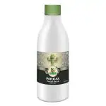Divya Shri Payolax piles Syrup | Relieve painful & inflamed itching | Useful in bleeding and non-bleeding piles | 500ml