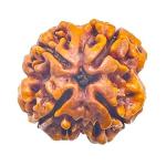 Feel Touch Mart 4 Mukhi Beautiful & Pure Nepal Char Mukhi Rudraksha Beads by Lab Certified