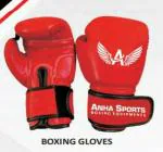 Aadil Noor BOXING GLOVES 12OZ