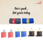 Ecolove Multipurpose Foldable And reusable Ecofriendly Shopping/Grocery Bag (pack of 6)