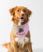 Farnup Happy Birthday Dog Bandana, Splash of Color for Your Pets Style! Adjustable & Comfortable Birthday Collection, Graphic Printed Bandana for Dogs (Design 5, S/M)
