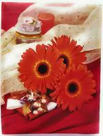 CSN - CUTE SHOPPING NETWORK Natraj Series, Portable Photo Album with Extra Clear, PVC Film, 120 Photos, (Photo Size Supported: 4x6 Inches)