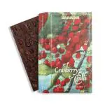 Darkins Dark Chocolate No Preservatives 100 Percent Vegan - 65 g