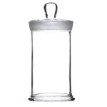 ABGIL Specimen Jar With Knobbed Stopper 37.5 x 7.5 cm