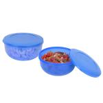 Cutting EDGE Eco-Storage Plastic Container 2700 ML & Organizer Set for Kitchen, Refrigerator, Home Use, Lunch & Food Storage (Set of 2, Light Blue)