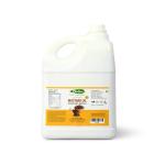 Orgatma Cold Pressed Mustard Oil Premium 5000 ml