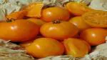 PLATONE Tomato Chef's Choice Orange(Pack Of70 Pcs)