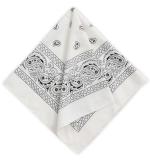 SHIVAAY Tough Headwear All White Paisley, Striped Handkerchiefs