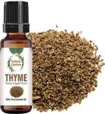 botanic garden Thyme/Thymus For Flu, Cough, Cold, Sinusitis, Bronchitis and Sore Throat, Warts, Acne, Viral and Bacterial Skin Infections, Muscular Pain and Arthritis/Undiluted 100% Pure Essential Oil (10 ml)