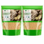 Bliss of Earth Certified Organic Ginger Powder Dry for Tea & Juice, Pure Antioxidant 2X250GM