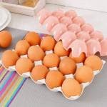 Sinklid 15 in 1 Egg Tray