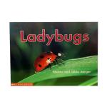 Ladybugs Melvin Berger, Scholastic (1 January 2002)