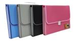 Rangwell Pink Folder File