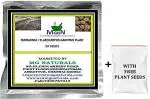 MGBN THE PATH FOR THE HEALTHIER LIFE WITH BEAUTY Rudraksha, Elaeocarpus Ganitrus Plant - 10 Seeds (with Free Plant Seeds)