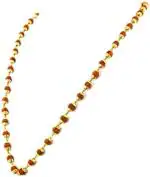 Vridaann Men and Women Gold Plated Brass Vridaannksha Mala Pendant