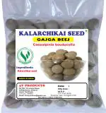 3V PRODUCTS : Kalarchikai 300g | Fever Nut | Karanjwa | Gajga | Caesalpinia Bonducella Seeds 300g