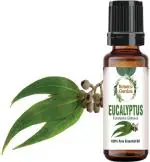 botanic garden Eucalyptus oil/Eucalyptus globulus For Bronchitis, Sinusitis, Catarrh,Urinary Infections/Undiluted 100% Pure Essential Oil (50 ml)