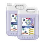 Dr. Pax Anti-Bacterial Moisturizing Hand Soap (Passion Berry), 10L (5L Each Pack of2)