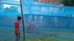 Anaya Multicolour Animal Mosquito Net - 25 x 20 x 10 FT