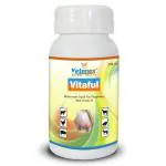 VETENEX Vitaful - Multivitamin Liquid Supplement for Cattle,Poultry,Sheep & Livestock Animals - 250 ML