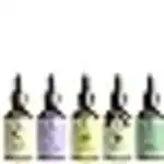 LA'BANGERRY Essential oil Tea Tree Rosemarry Bengmot Eucaly plus citronella | Perfect For cold and cough Aromatherapy, Relaxation, Skin Therapy, Hair Care and Diffuser - 30ml