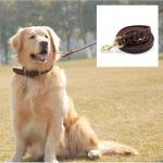 Petlicious & More Long Leather Dog Leash 10 Ft
